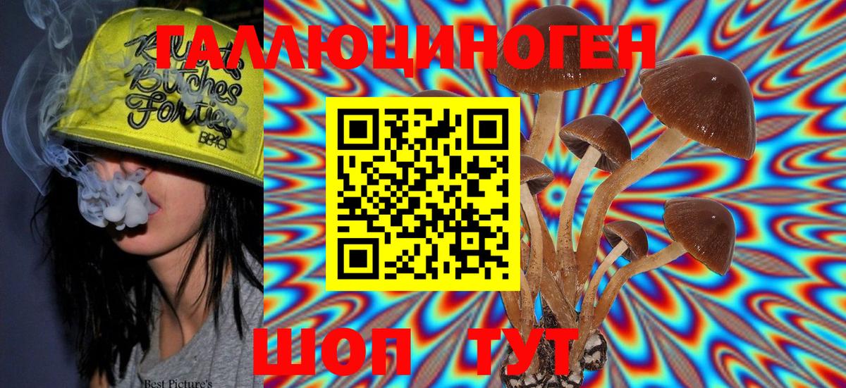 Жуковский  Псилоцибиновые грибы Magic Shrooms  Вход с VPN 