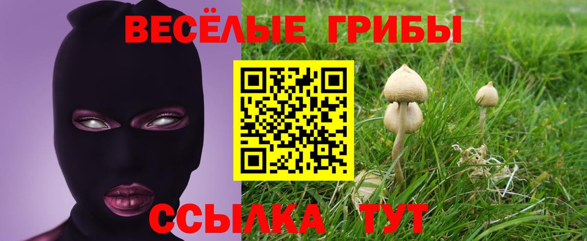 Псилоцибиновые грибы мицелий Жуковский