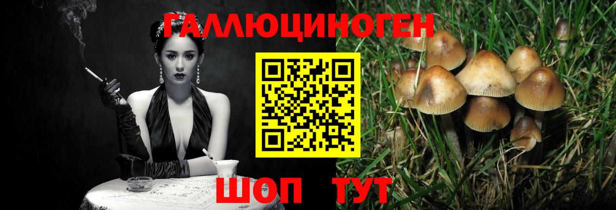 Псилоцибиновые грибы GOLDEN TEACHER  закладка  Жуковский 